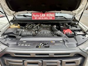 Xe Ford Ranger Raptor 2.0L 4x4 AT 2020