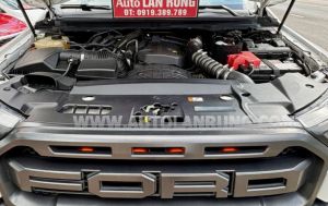 Xe Ford Ranger Raptor 2.0L 4x4 AT 2020