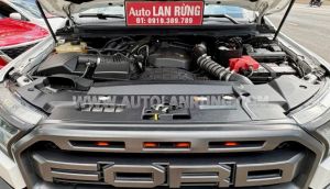 Xe Ford Ranger Raptor 2.0L 4x4 AT 2020
